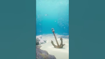 Underwater in Unreal Engine #ue5 #coral  #realistic