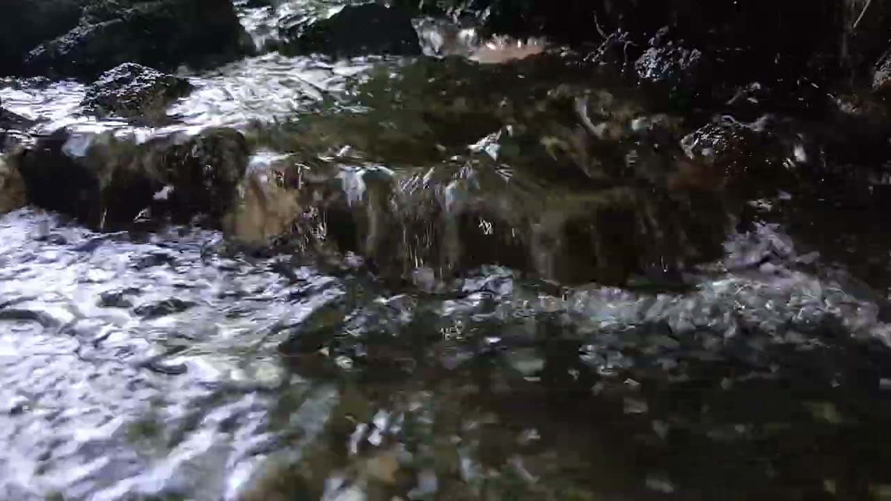 Gentle River Water Sounds Soothing to Listen and Calm the Mind