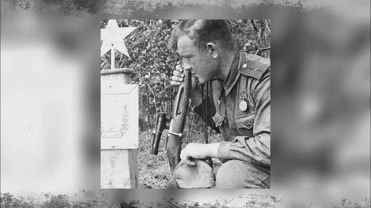 Цитаты про войну. На носилках около сарая. Смешные картинки про войну. Я живу в ту войну. Стихотворение о победе.