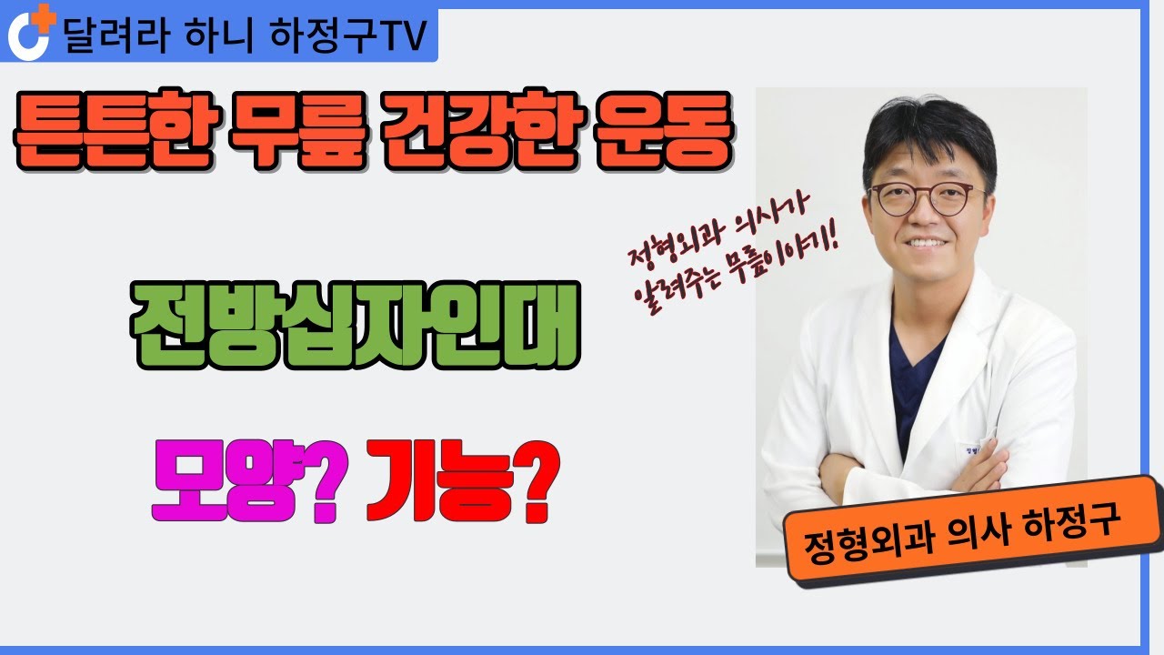 ENG What Does The Anterior Cruciate Ligament ENG What Does The Anterior Cruciate Ligament