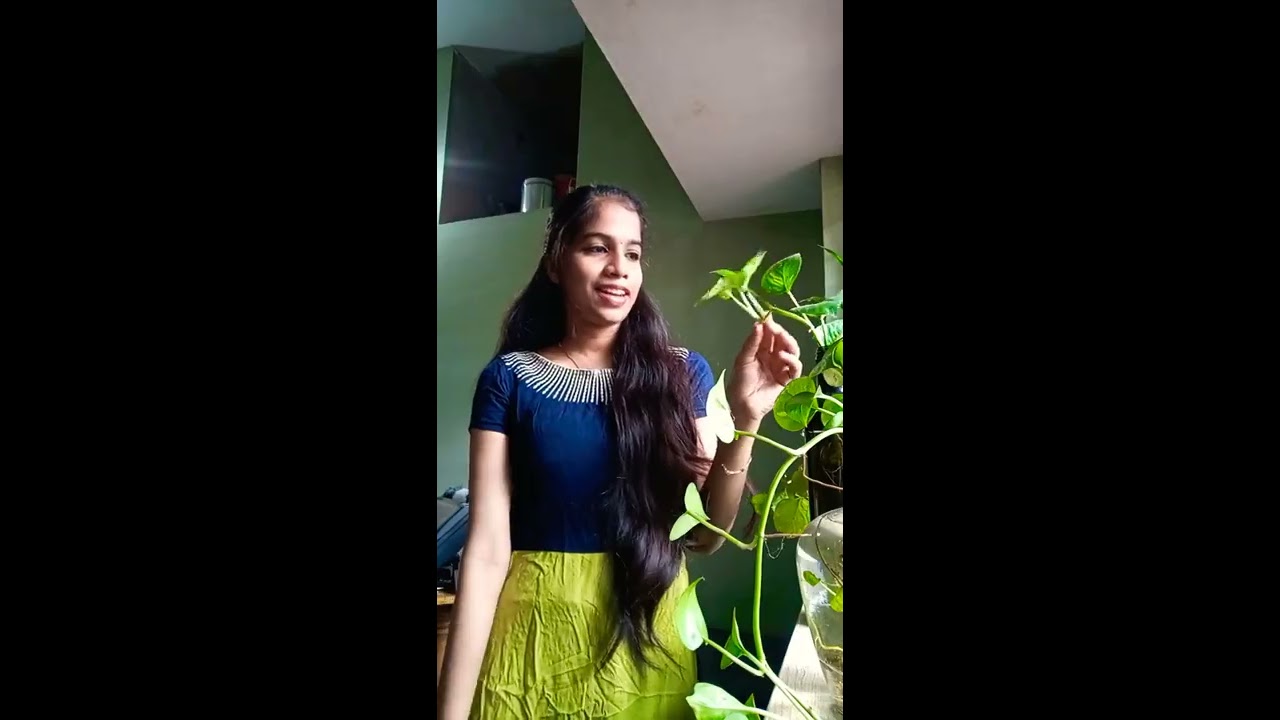 Tips to grow money plant