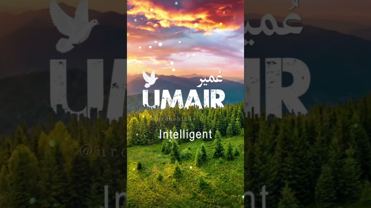 🌹Umair🌹 | Name Meaning Status || Urdu e Hind Official