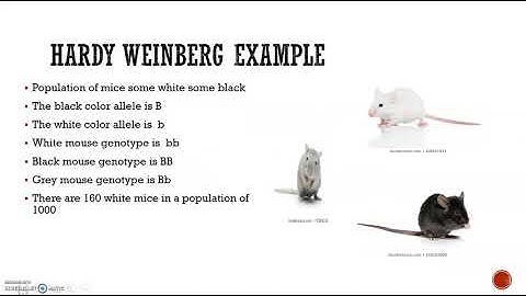 University of New England Bio 105 Lab Exercise 8:  Natural Selection and Genetic Drift