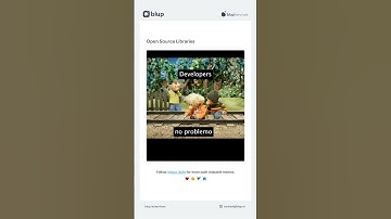 Bro, Open-Source Library Crashed My App! Now What to Do? 😂💻