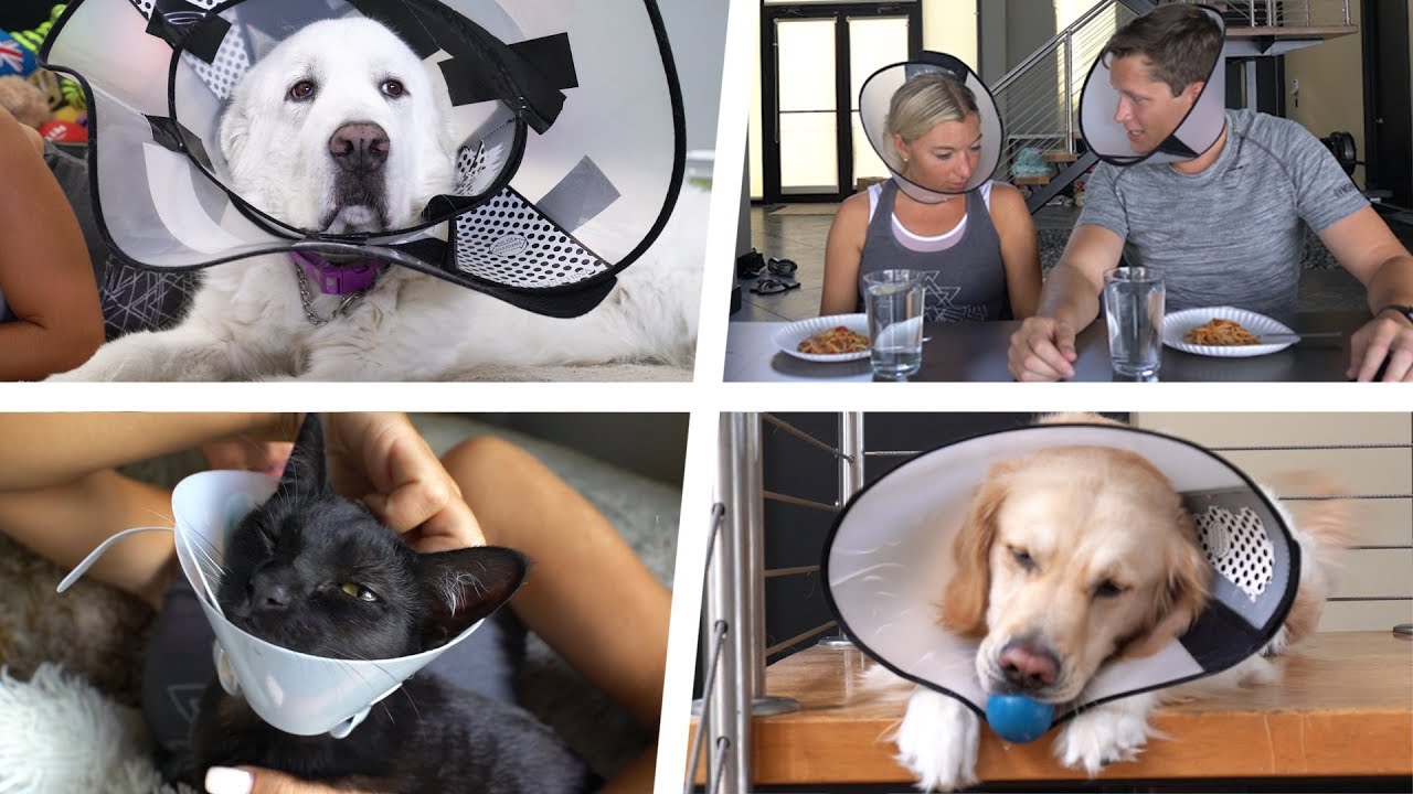 THE CONE CHALLENGE - Super Cooper Sunday #197