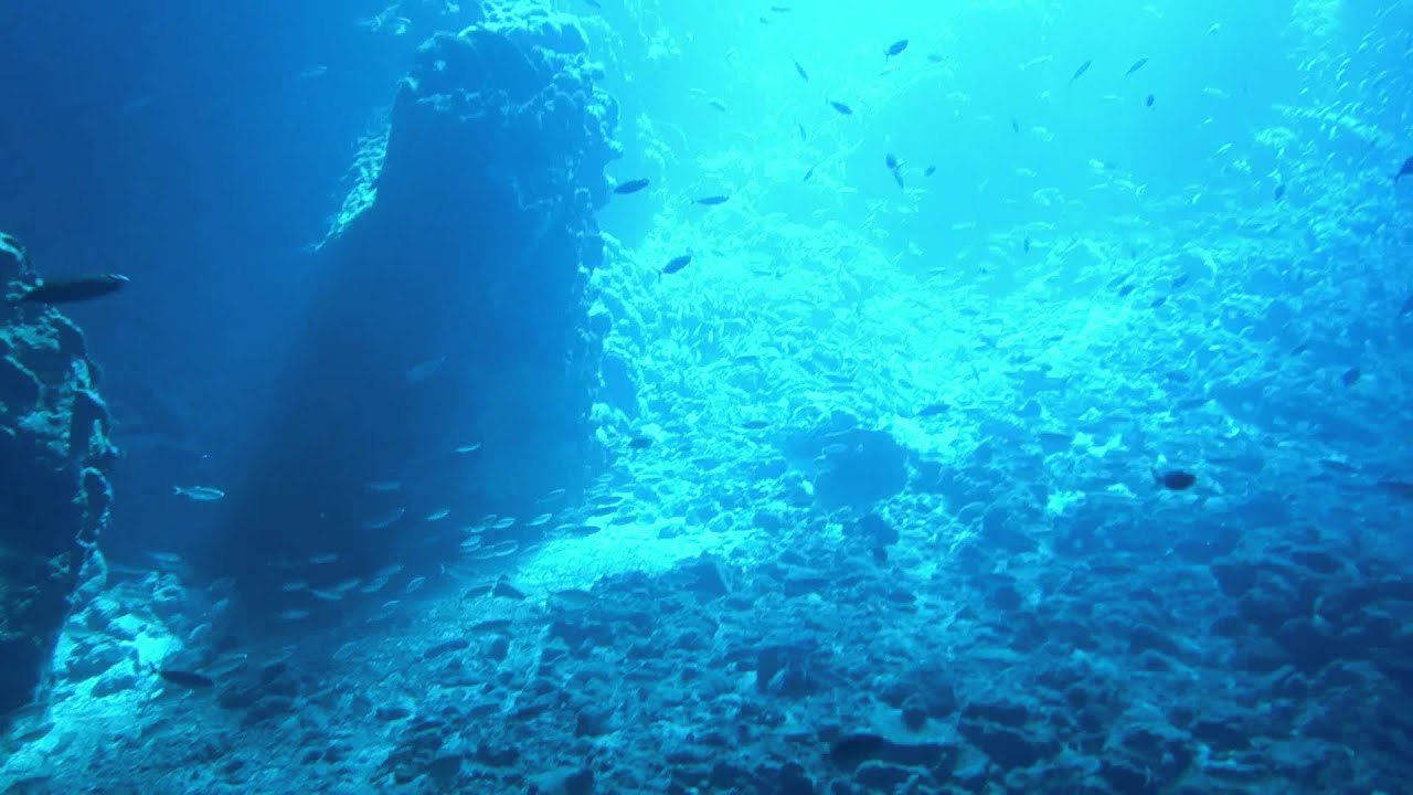 18 METRES. SUB-AQUATIC UTOPIA.