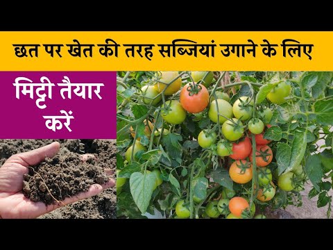 वीडियो: सब्जी उगाने के लिए मिट्टी: आपके सब्जी के बगीचे के लिए मिट्टी की तैयारी