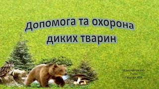 картинка: Допомога та охорона диких тварин. Я досліджую світ 2 клас