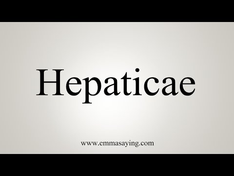 Video: Hepatophyta có nghĩa là gì?