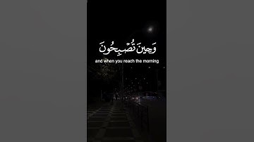 #سورة_الروم #عبدالله_الخلف #quran #اكسبلور #لايك #قرآن #راحة_نفسية #قران_كريم #duet #viral #دويتو