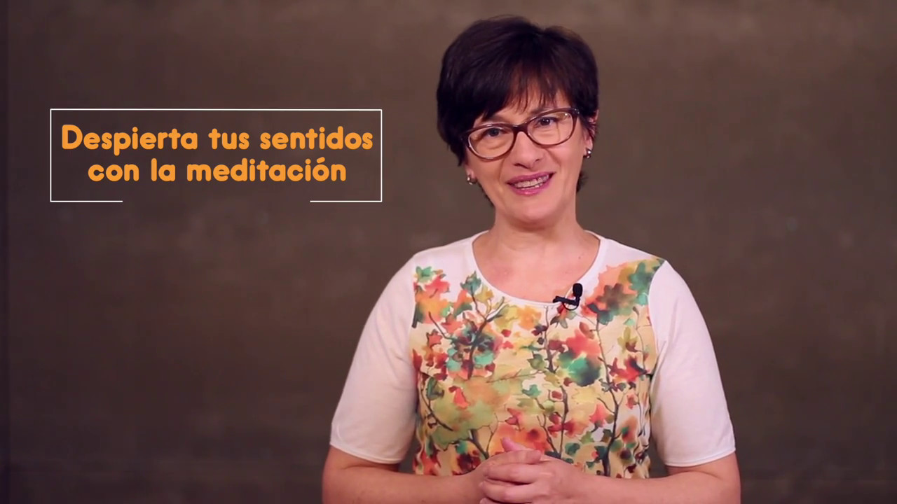 Despierta Tus Sentidos Con La Meditación Youtube