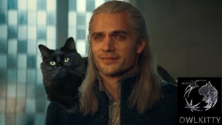 If Geralt Had A Cat (Owlkitty + Witcher)