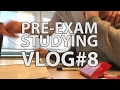 PRE-EXAM STUDYING | TU DELFT VLOG#8