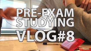 PRE-EXAM STUDYING | TU DELFT VLOG#8