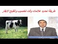 طريقة تحديد علامات وقت تخصيب وتلقيح الابقار
