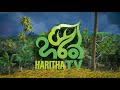 Haritha tv   tv   