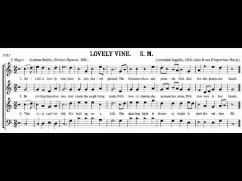 438t Lovely Vine from the Shenandoah Harmony (Keystone Sacred Harp Convention 2012)