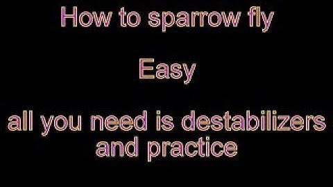 sparrow flying in depth guide