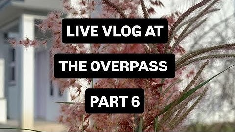 DAILY VLOG | CITY TRAFFIC FROM THE OVERPASS PART 6 #vlog  #citytraffic  #dailyvlog