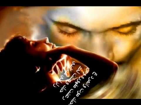 حنانك غناء ياسر حبيب مع الكلمات 2011