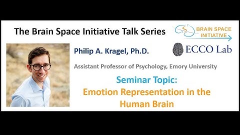 Emotion Representation in the Human Brain