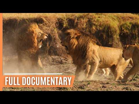 Hunting and being hunted in Kenya's Masai Mara | Full Documentary