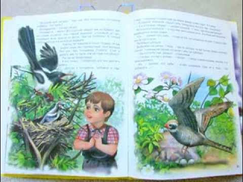 В. Бианки. Мастера без топора - YouTube