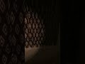 Tales Beyond The Tomb--The Pineville Night Stalker #gaming #horrorgame #horror #survivalhorror