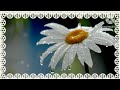 С.Майкапар "Дощик".Слухання класики.Музичне заняття