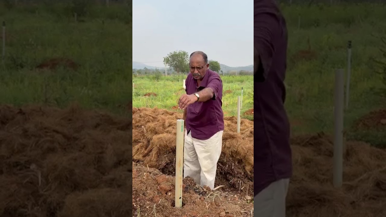 Scientific composting.. At SHF dt 01.03.2026