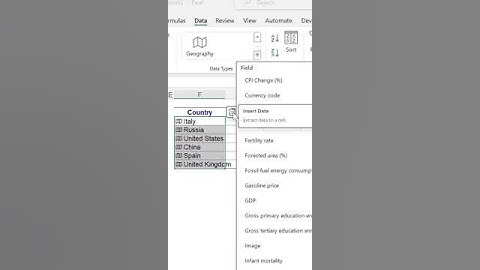 How to Find the Countries LEADERS in Excel Hack #shortvideo #exceltips #shorts #short #leadership
