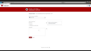 Vision Helpdesk Support Options