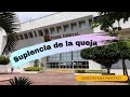 Suplencia de la queja 🤕👨🏻‍⚖️ Explicado en menos de 5 minutos ⚖🦉⚖ Derecho Mex Práctico