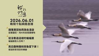 直播放映室【週一晚間十點🔴LIVE】2026.06.01 公視我們的島第1360集 播出