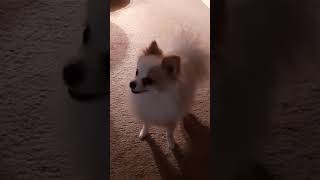 Beth clifton Details