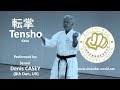Tensho kata 転掌 - Shito-ryu Shukokai Karate Do Union
