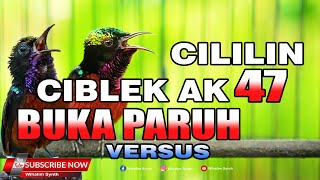 MASTERAN KONIN FULL ISIAN CILILIN VERSUS ISIAN CIBLEK AK47 SANGAT COCOK UNTUK MASTERAN KOLIBRI LAIN