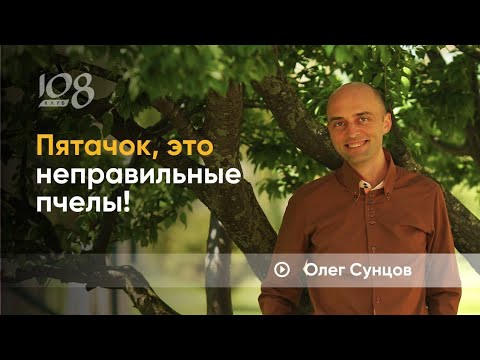 Виноваты всегда другие, а не я.