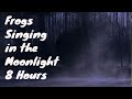 8 HOUR SLEEP VIDEO Frogs Singing in the Moonlight FALL ASLEEP AND STAY ASLEEP