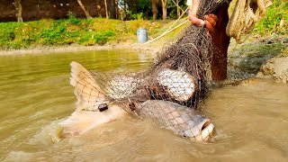 Most Popular Cast Net Fishing in Village Pond - Net Fishing With Beautiful Natural