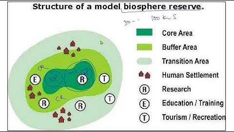 Day 20 (Part 2) : 50 days Revision Plan With Previous Years Questions, Environment | UPSC/CSE/IAS