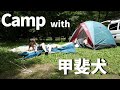【キャンプ】甲斐犬の子犬と初めて一緒に寝た日　kai dog and the first Camp