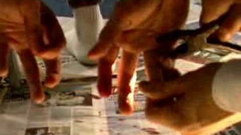 "The Eighth Commandment" - Part II