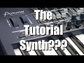 Bad Gear - Arturia Minibrute - The Tutorial Synth???