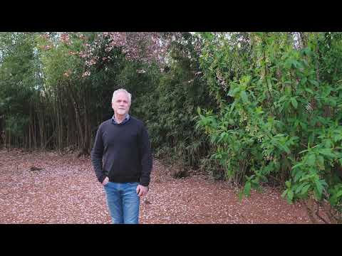 2888 Yolonda Ave, Springfield, OR home video tour