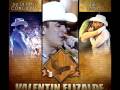 Mi Gusto Es - Valentin Elizalde