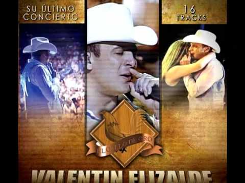 Mi gusto es - Valentín Elizalde