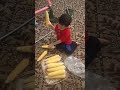 اسرع طريقه لشوي الذره الصفراء ف البيت اسرع طريقه لشوي الذره الصفراء ف البيت