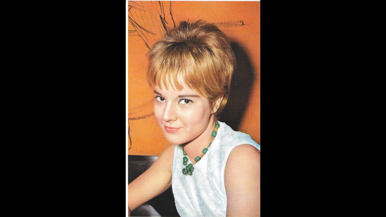 Sylvie VARTAN -  Pochettes Disques Années  Vinyles 60 70 + Vidéos