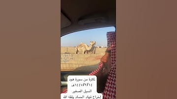 دحيم الحماد ١٤٤٧هـ تلاوة من سورة هود